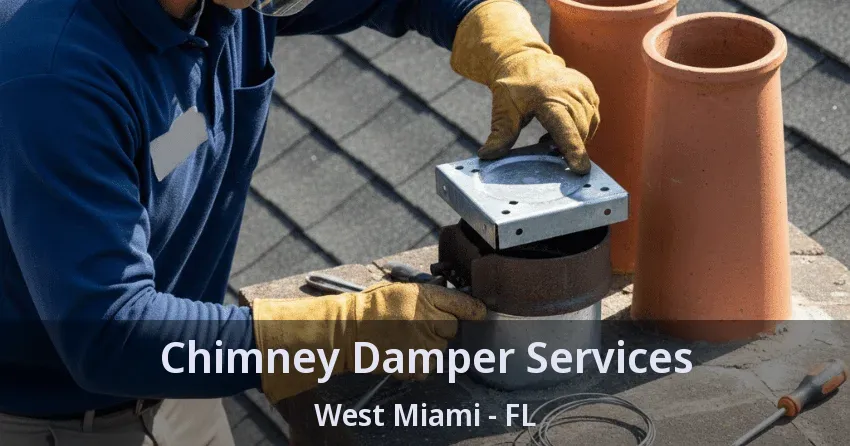 Chimney Damper Services West Miami - FL