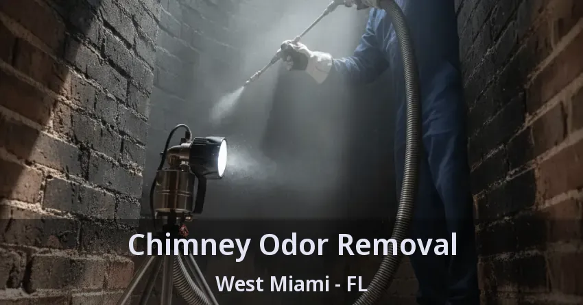 Chimney Odor Removal West Miami - FL