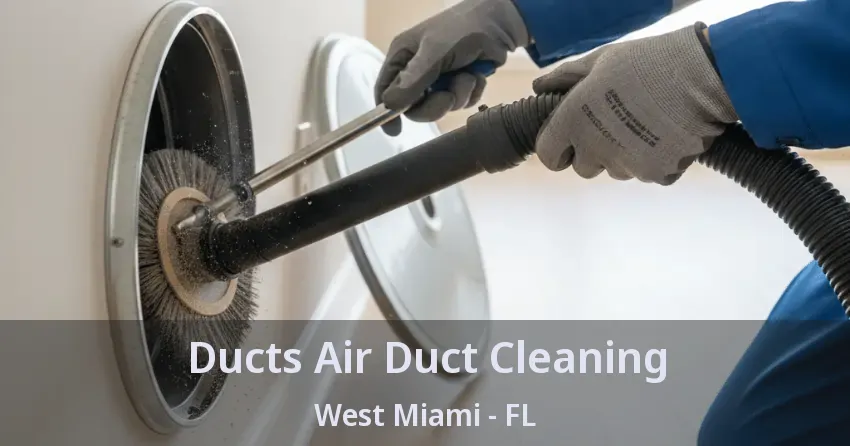 Ducts Air Duct Cleaning West Miami - FL