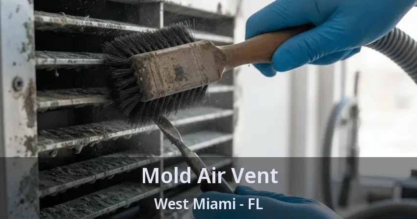 Mold Air Vent West Miami - FL