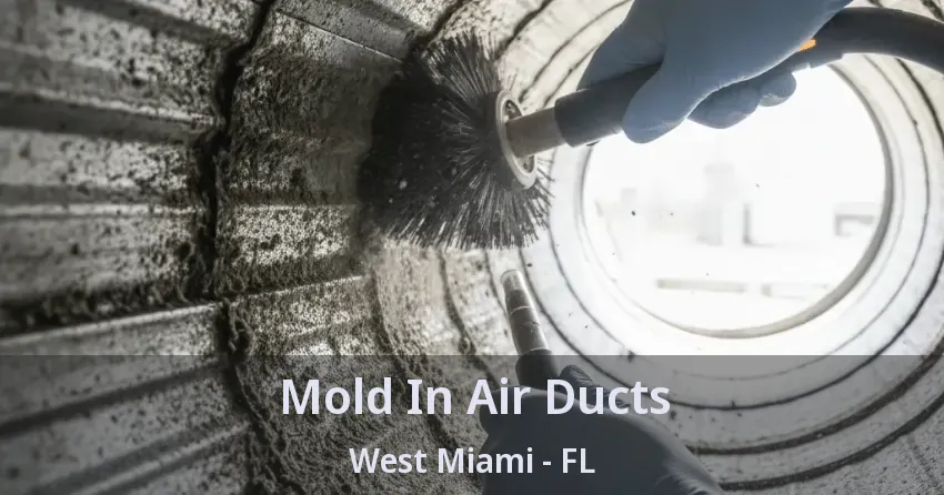 Mold In Air Ducts West Miami - FL Mold In Air Ducts West Miami - FL