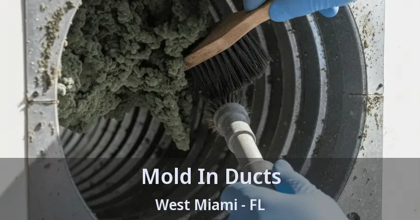 Mold In Ducts West Miami - FL