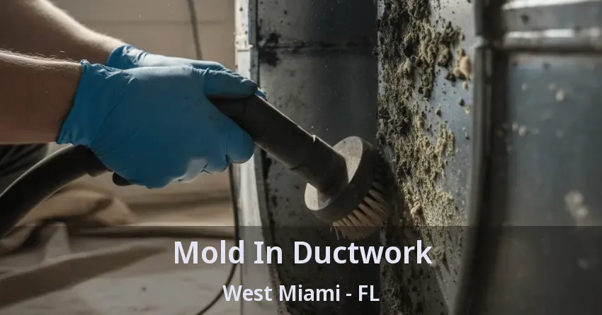 Mold In Ductwork West Miami - FL
