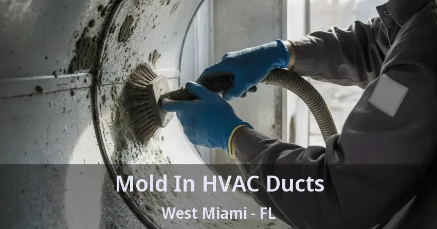 Mold In HVAC Ducts West Miami - FL