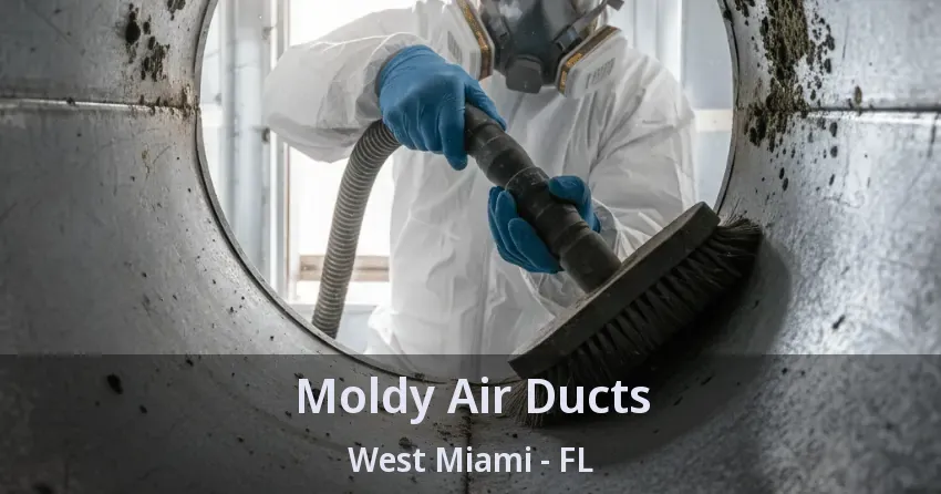 Moldy Air Ducts West Miami - FL